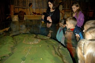 DSC_0282 (1600x1064)